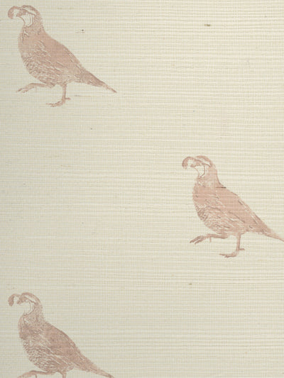 california quail grasscloth wallpaper by nathan turner pink
