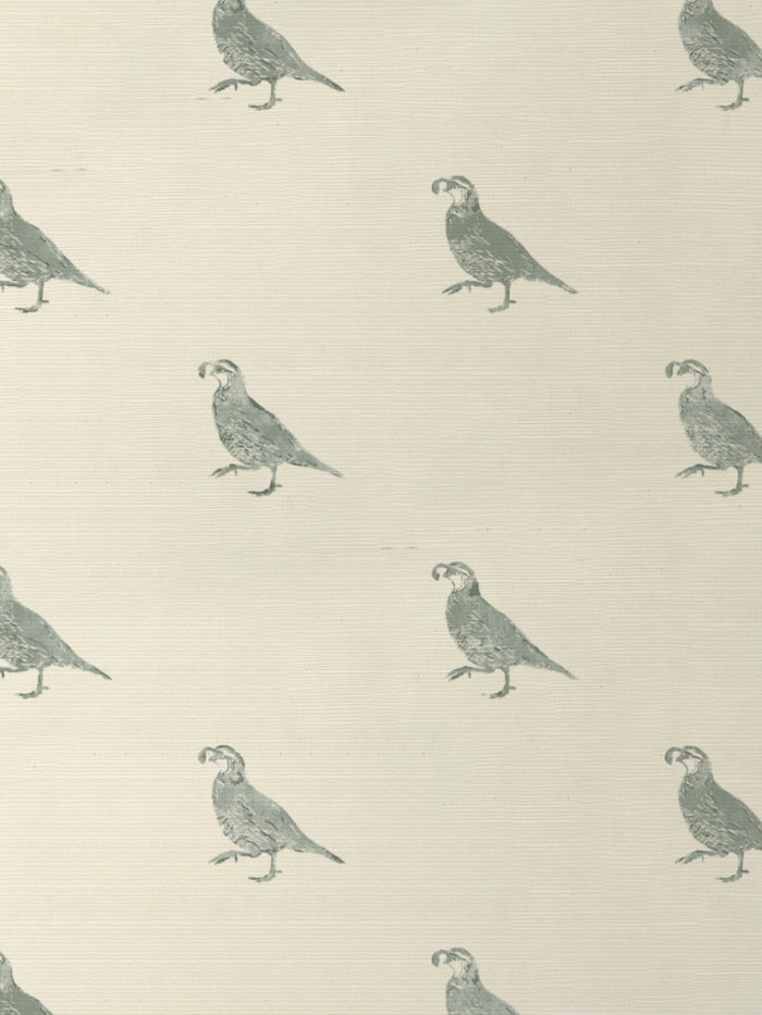'California Quail' Grasscloth Wallpaper by Nathan Turner - Sage