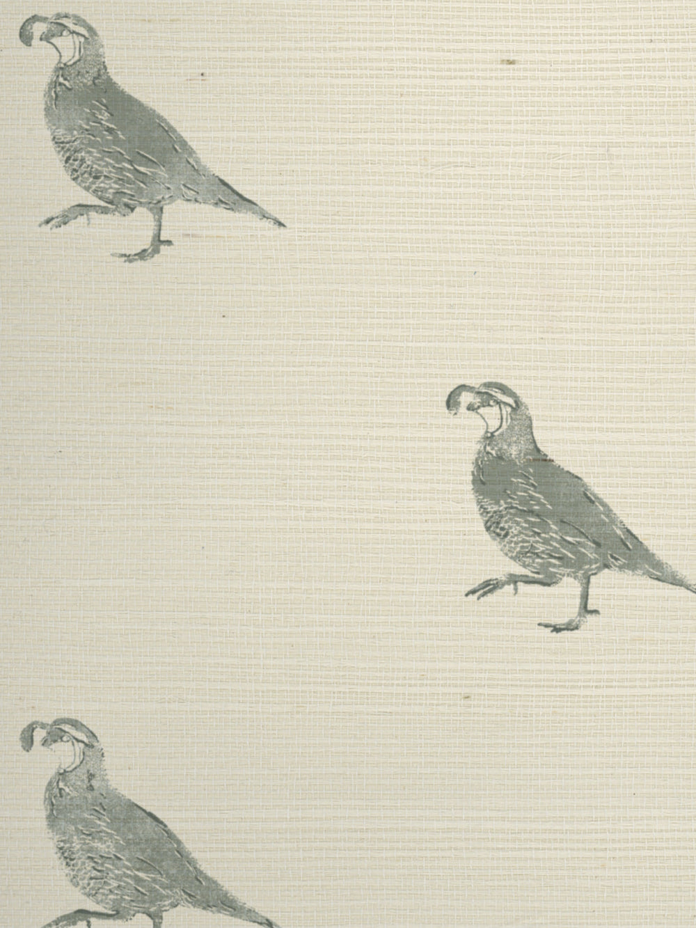 california quail grasscloth wallpaper by nathan turner sage