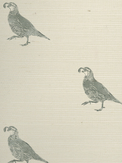 'California Quail' Grasscloth Wallpaper by Nathan Turner - Sage