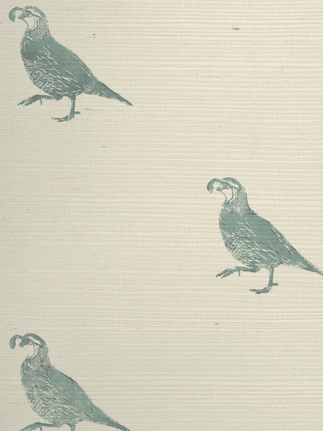 'California Quail' Grasscloth Wallpaper by Nathan Turner - Seafoam