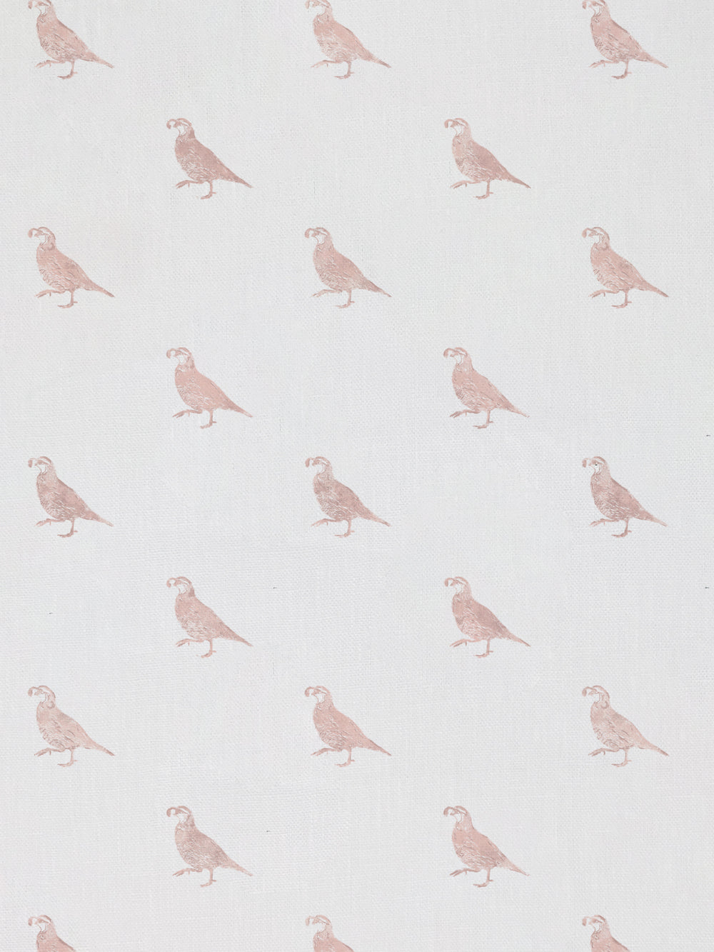 california quail linen fabric by nathan turner pink