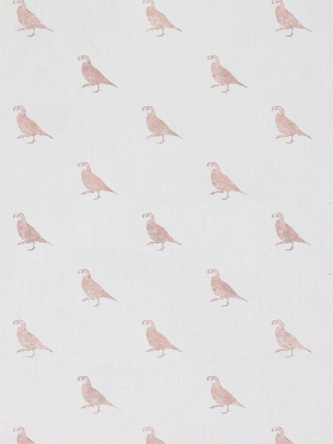 california quail linen fabric by nathan turner pink