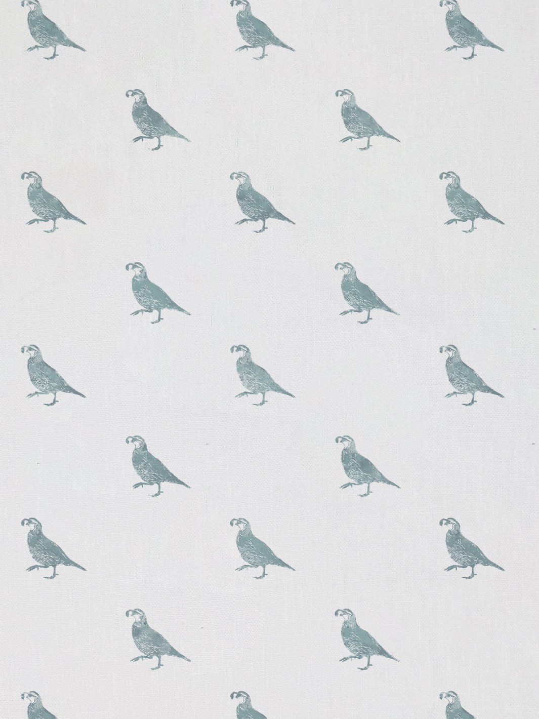 california quail linen fabric by nathan turner seafoam