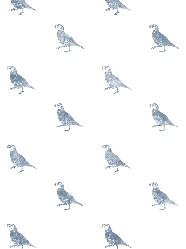 california-quail-wallpaper-by-nathan-turner-blue