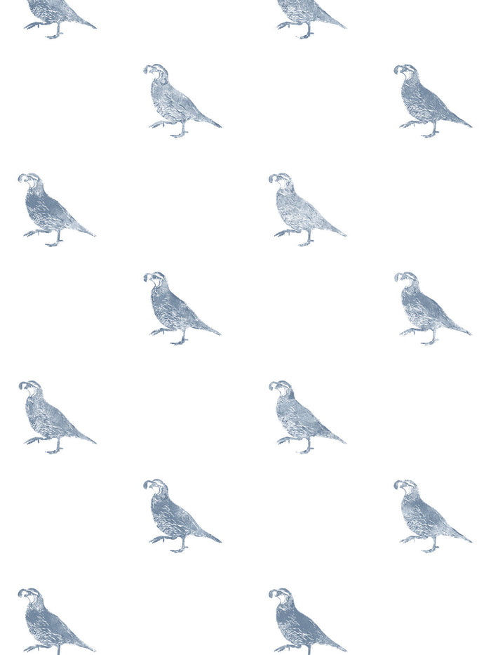 'California Quail' Wallpaper by Nathan Turner - Blue