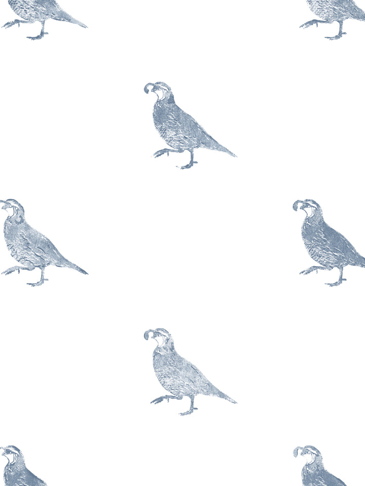 california-quail-wallpaper-by-nathan-turner-blue