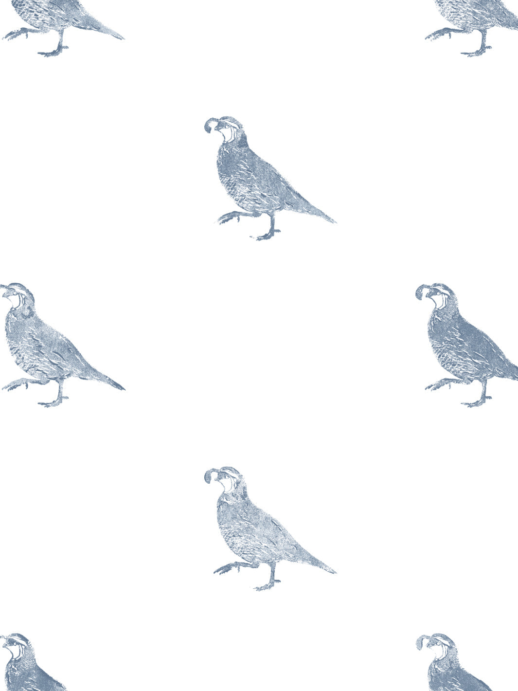 'California Quail' Wallpaper by Nathan Turner - Blue