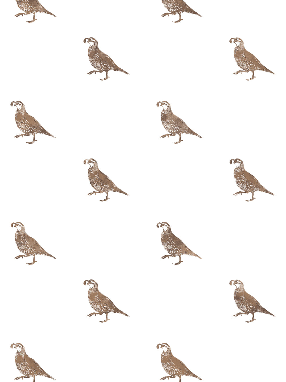 california-quail-wallpaper-by-nathan-turner-brown