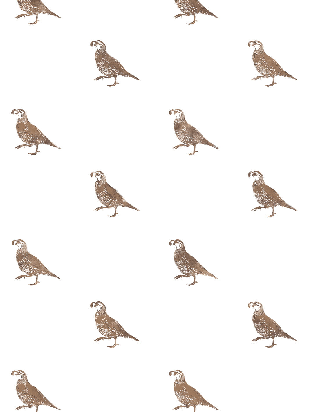 'California Quail' Wallpaper by Nathan Turner - Brown