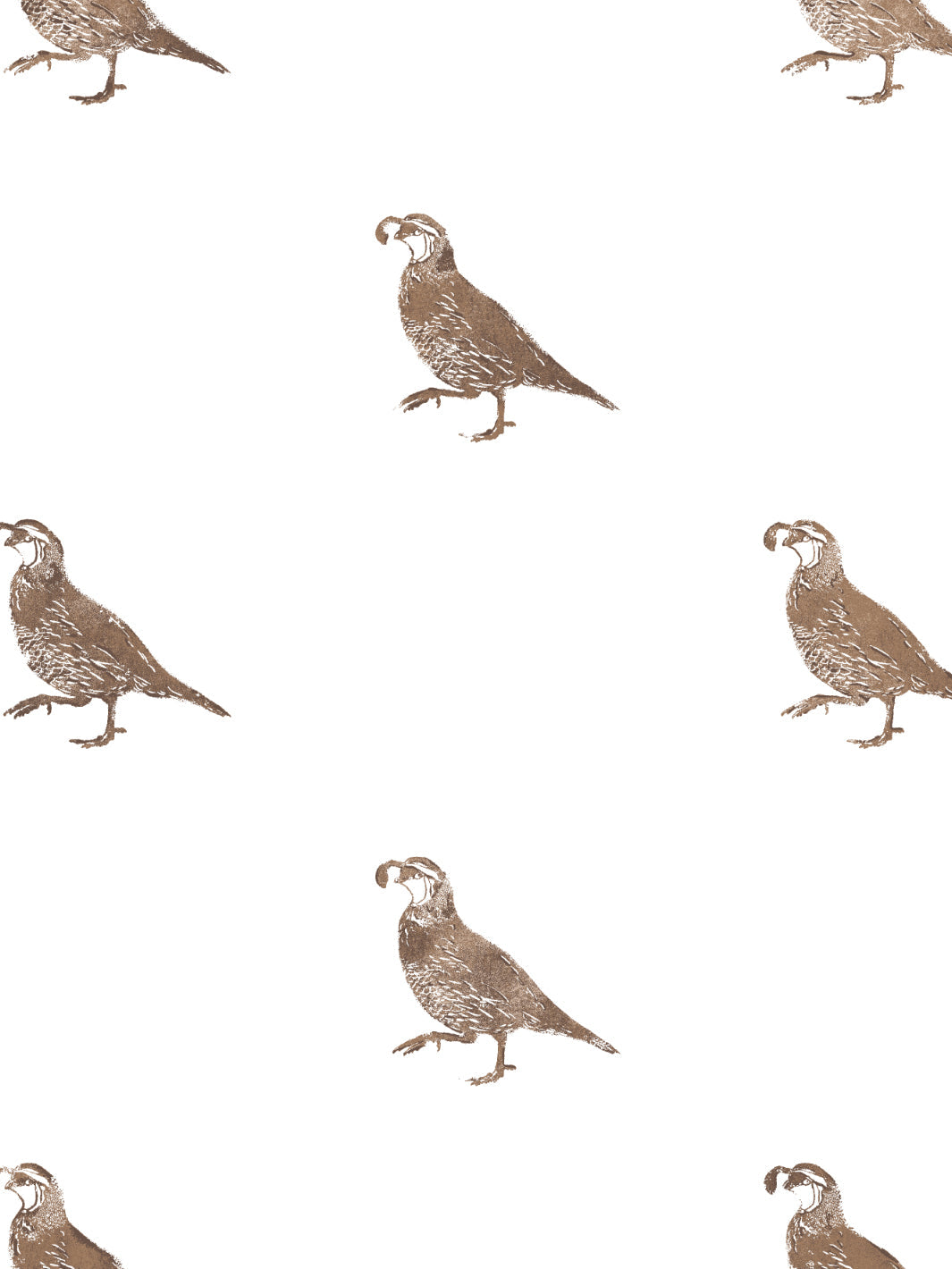 'California Quail' Wallpaper by Nathan Turner - Brown