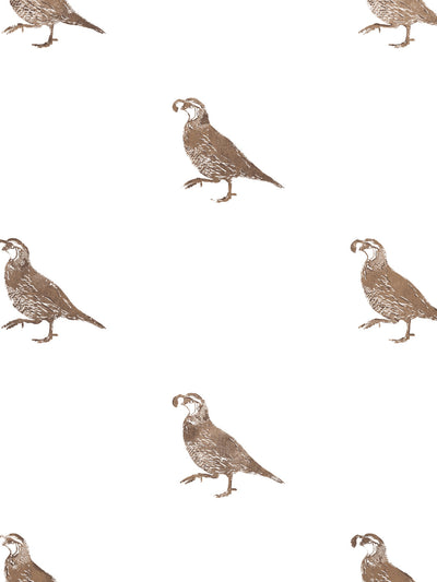 california quail wallpaper by nathan turner brown