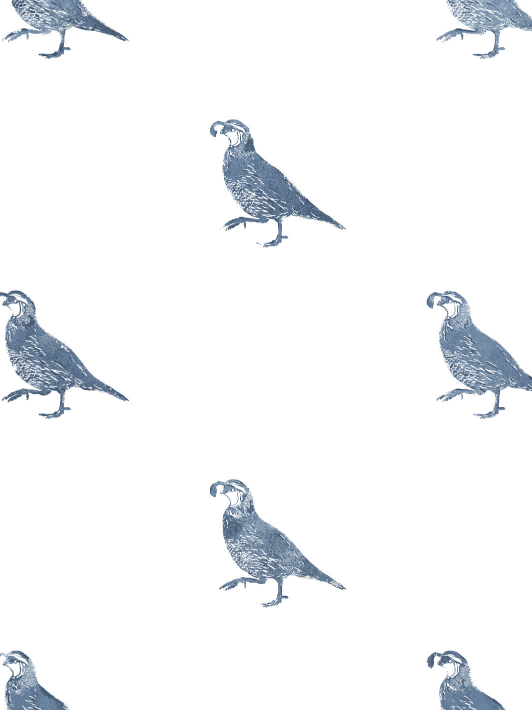 'California Quail' Wallpaper by Nathan Turner - Darker Blue