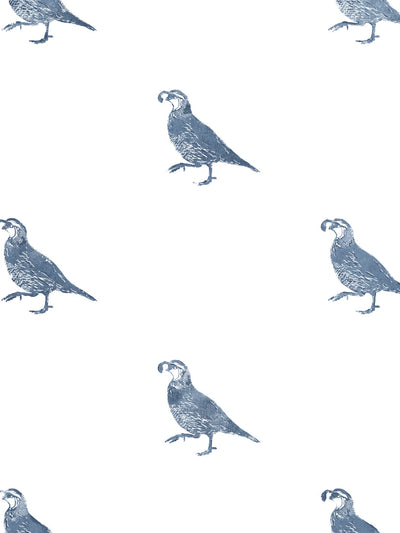 'California Quail' Wallpaper by Nathan Turner - Darker Blue