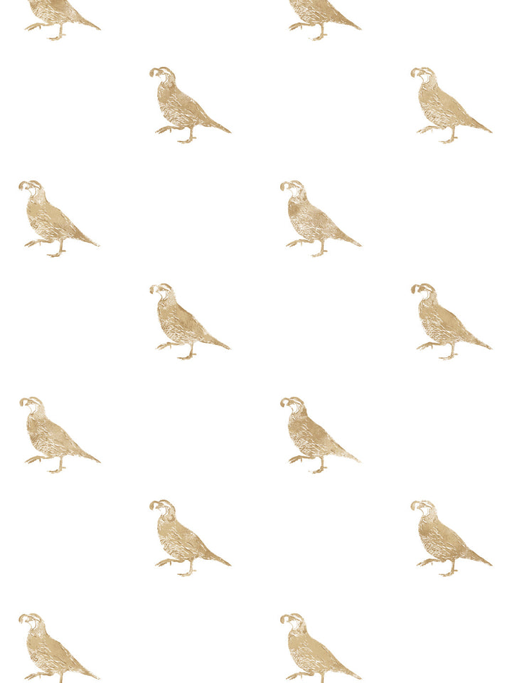 california-quail-wallpaper-by-nathan-turner-gold
