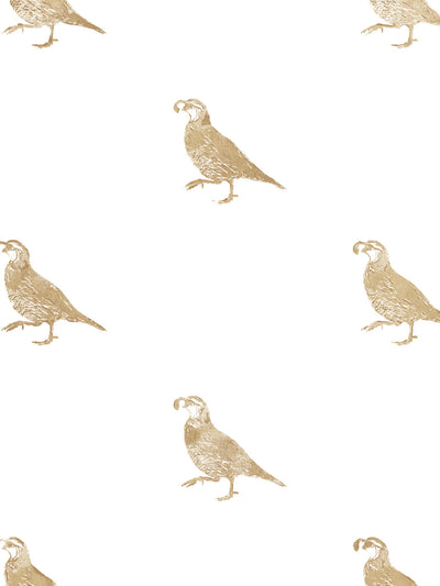 'California Quail' Wallpaper by Nathan Turner - Gold