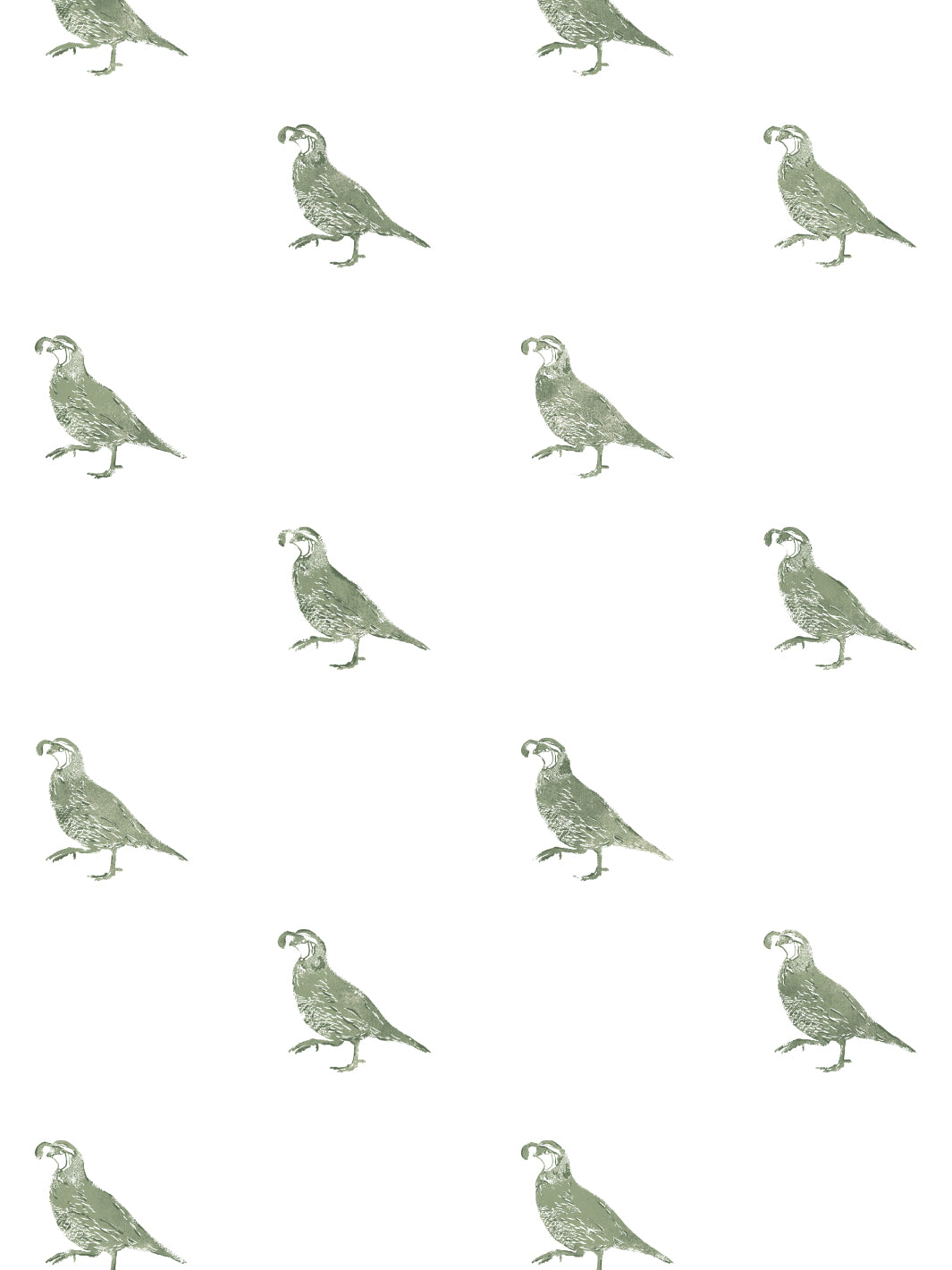 california-quail-wallpaper-by-nathan-turner-green