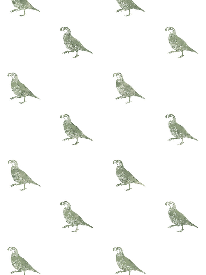 california-quail-wallpaper-by-nathan-turner-green