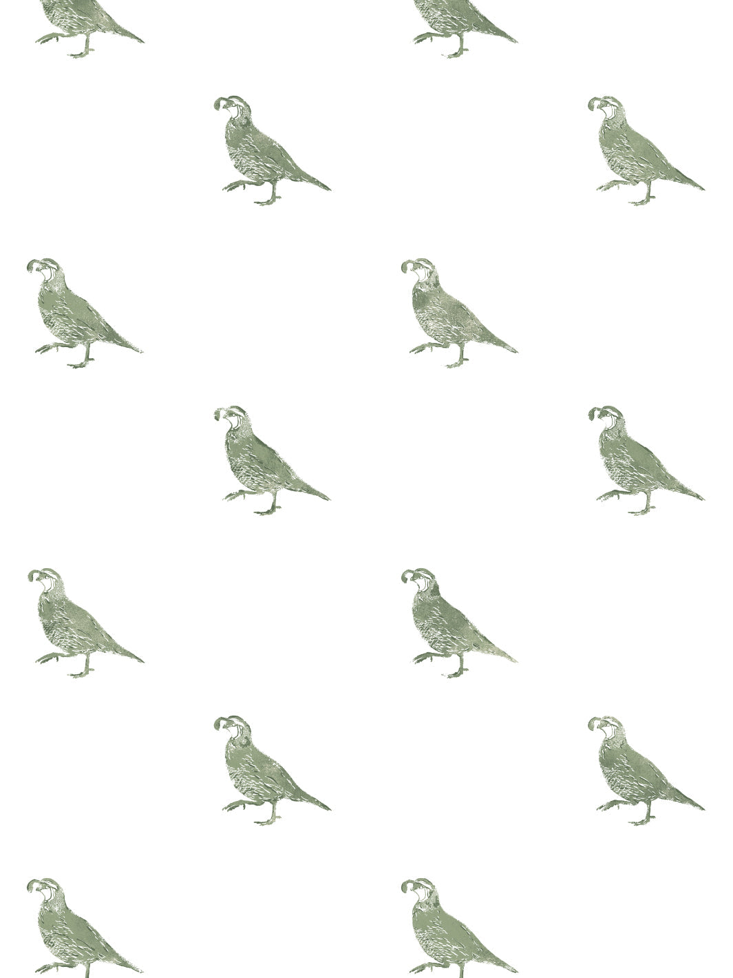 'California Quail' Wallpaper by Nathan Turner - Green