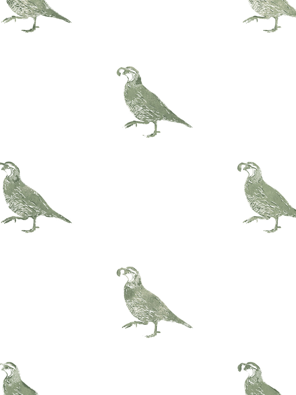 california-quail-wallpaper-by-nathan-turner-green