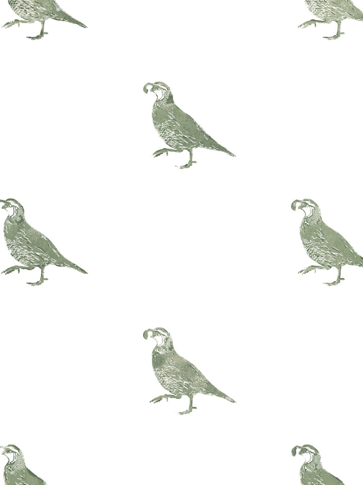 california-quail-wallpaper-by-nathan-turner-green
