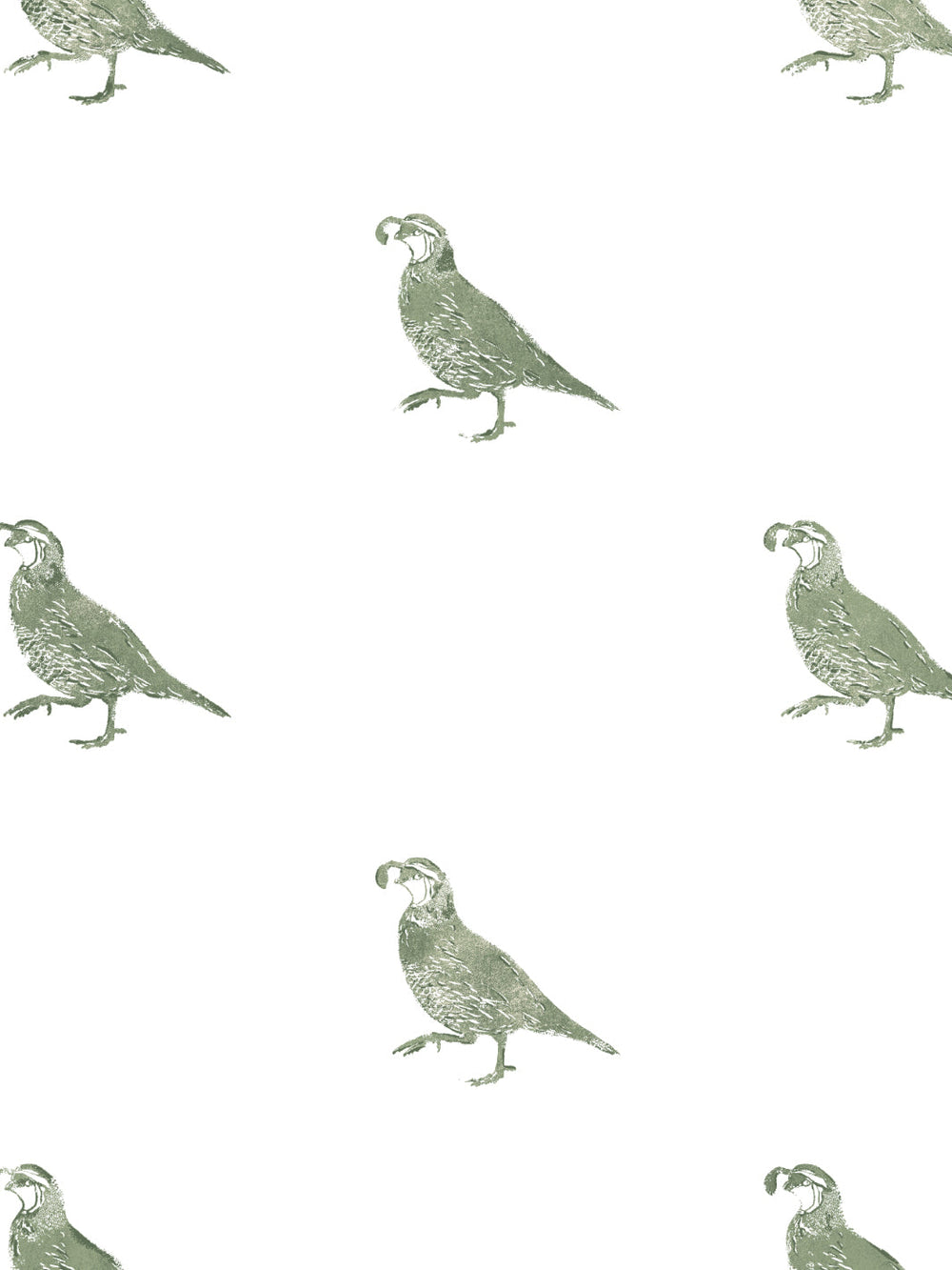 california-quail-wallpaper-by-nathan-turner-green