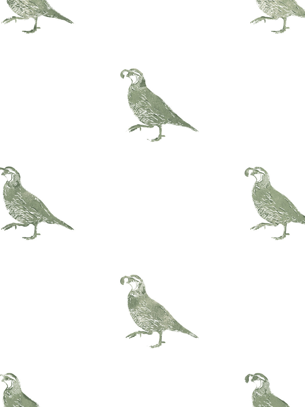 'California Quail' Wallpaper by Nathan Turner - Green