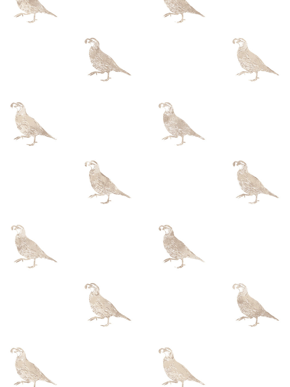 california-quail-wallpaper-by-nathan-turner-neutral