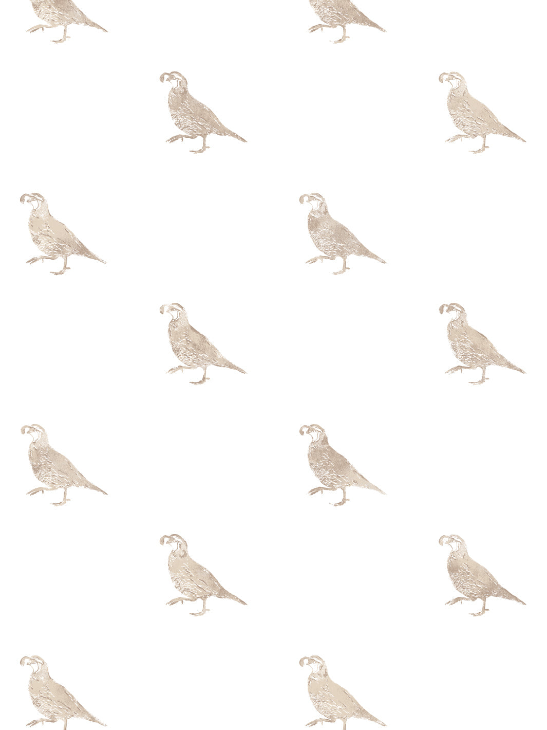 'California Quail' Wallpaper by Nathan Turner - Neutral