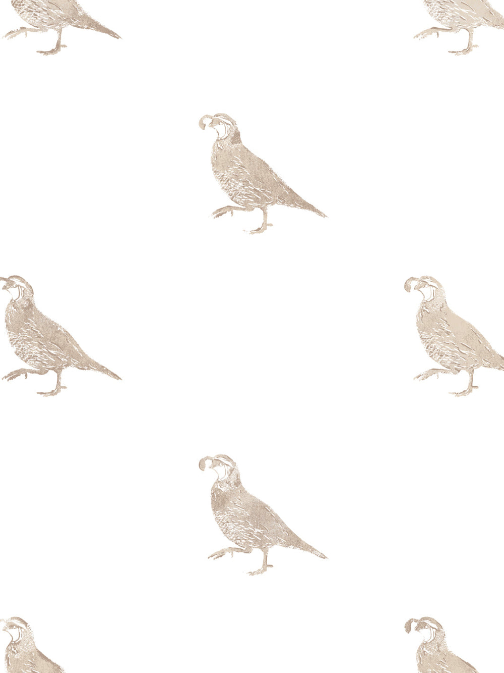 california-quail-wallpaper-by-nathan-turner-neutral