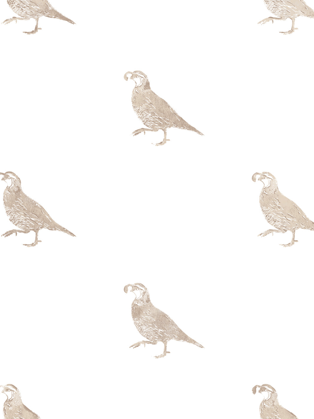 'California Quail' Wallpaper by Nathan Turner - Neutral