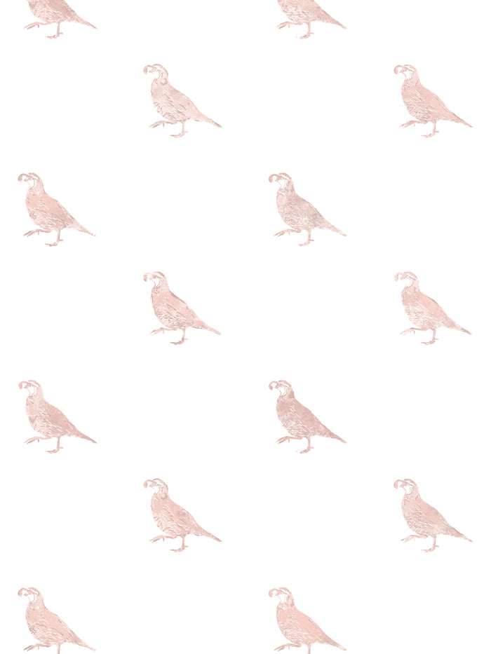 'California Quail' Wallpaper by Nathan Turner - Pink