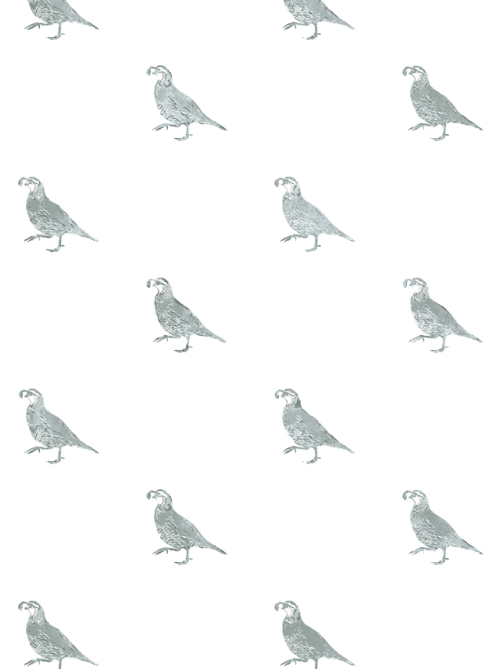 california-quail-wallpaper-by-nathan-turner-sage