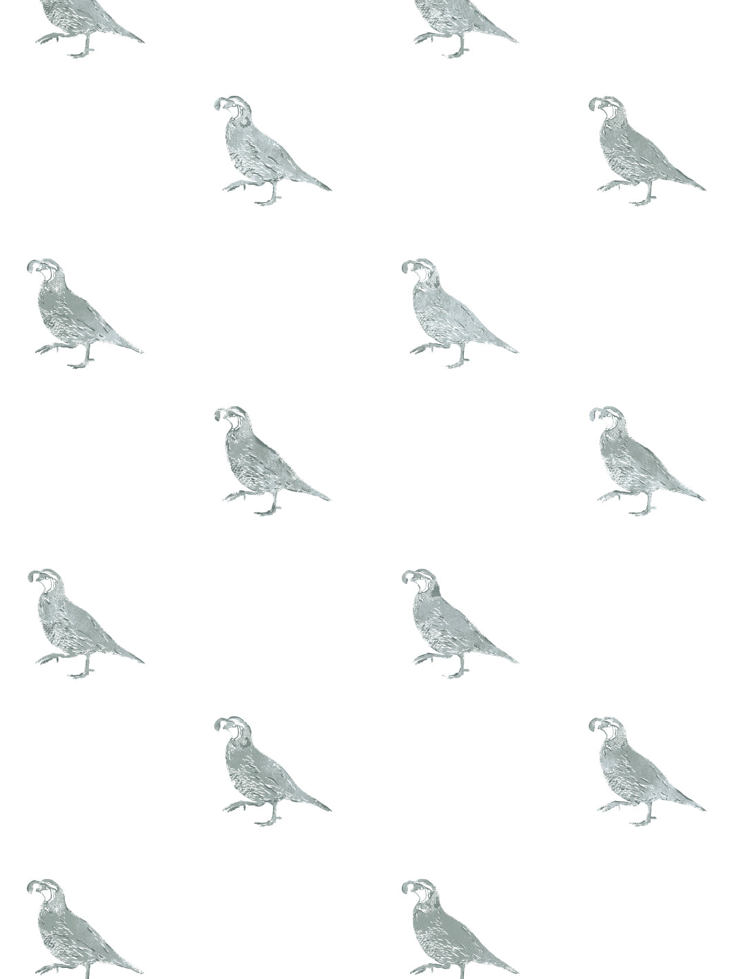 california-quail-wallpaper-by-nathan-turner-sage