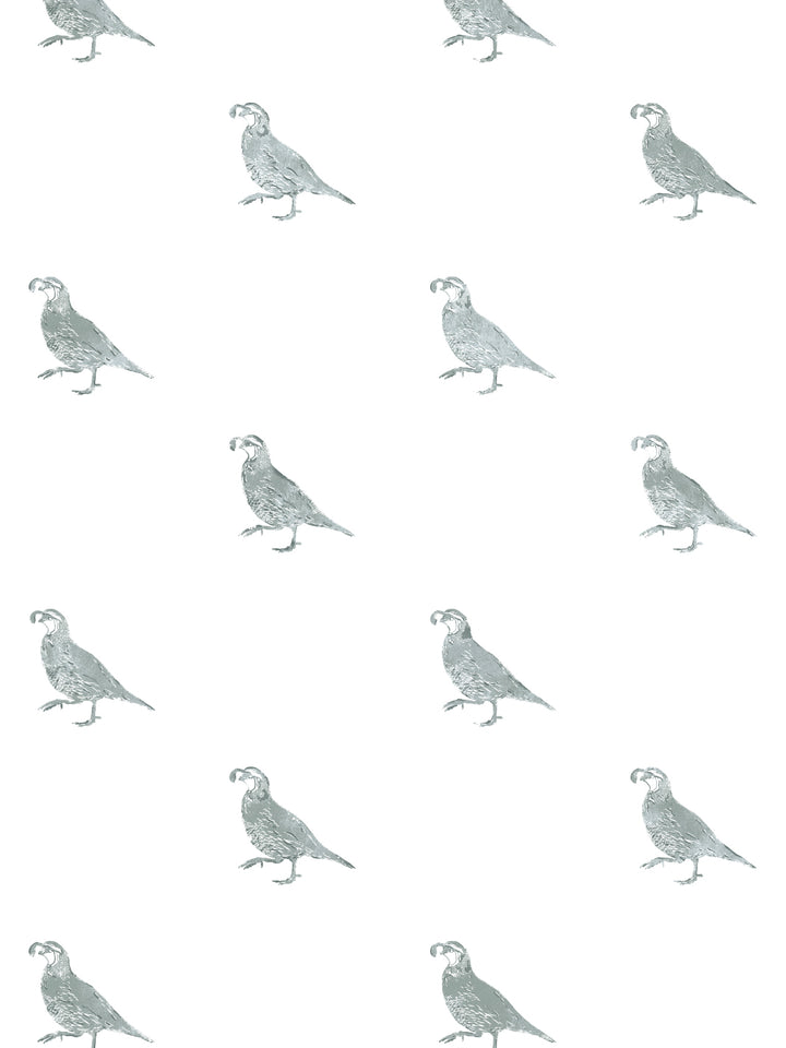 california-quail-wallpaper-by-nathan-turner-sage