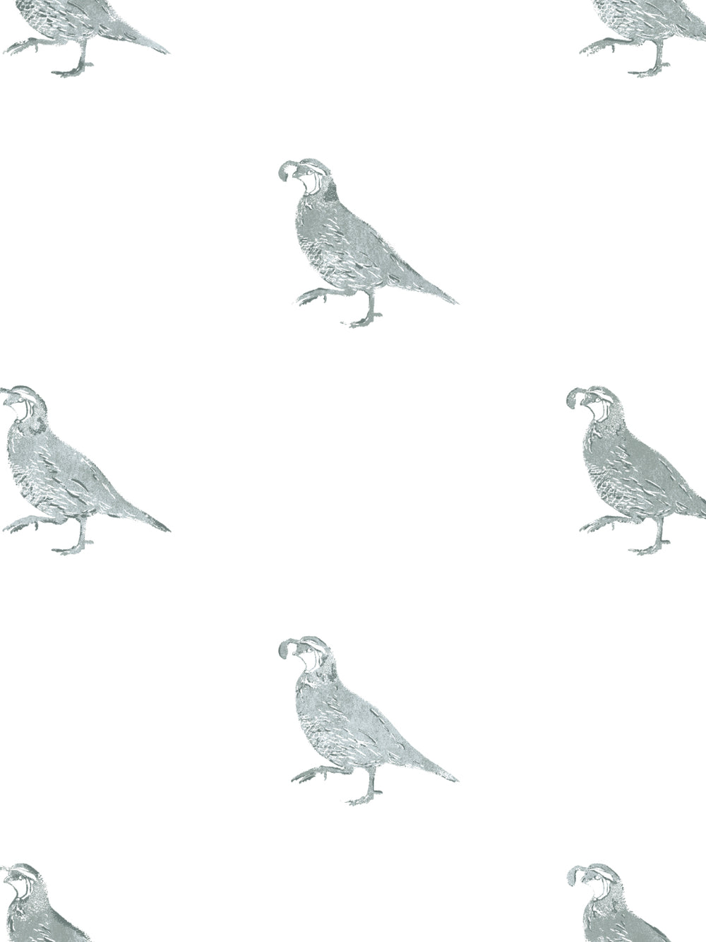 california-quail-wallpaper-by-nathan-turner-sage