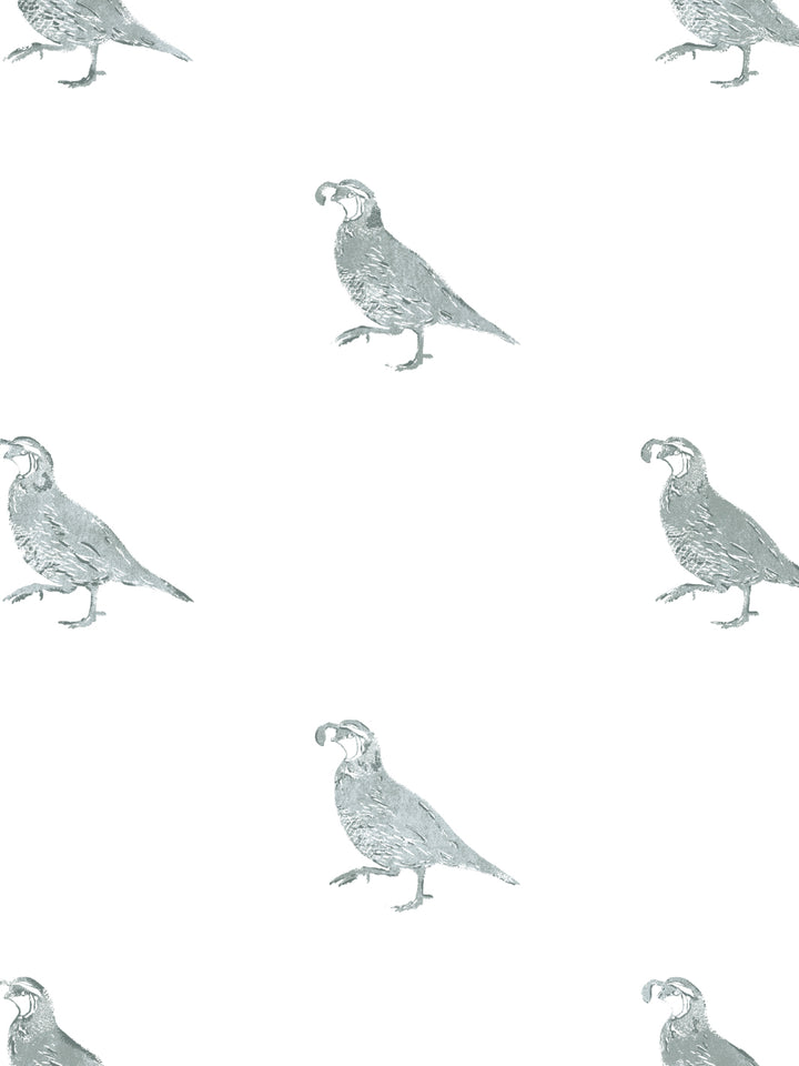california-quail-wallpaper-by-nathan-turner-sage