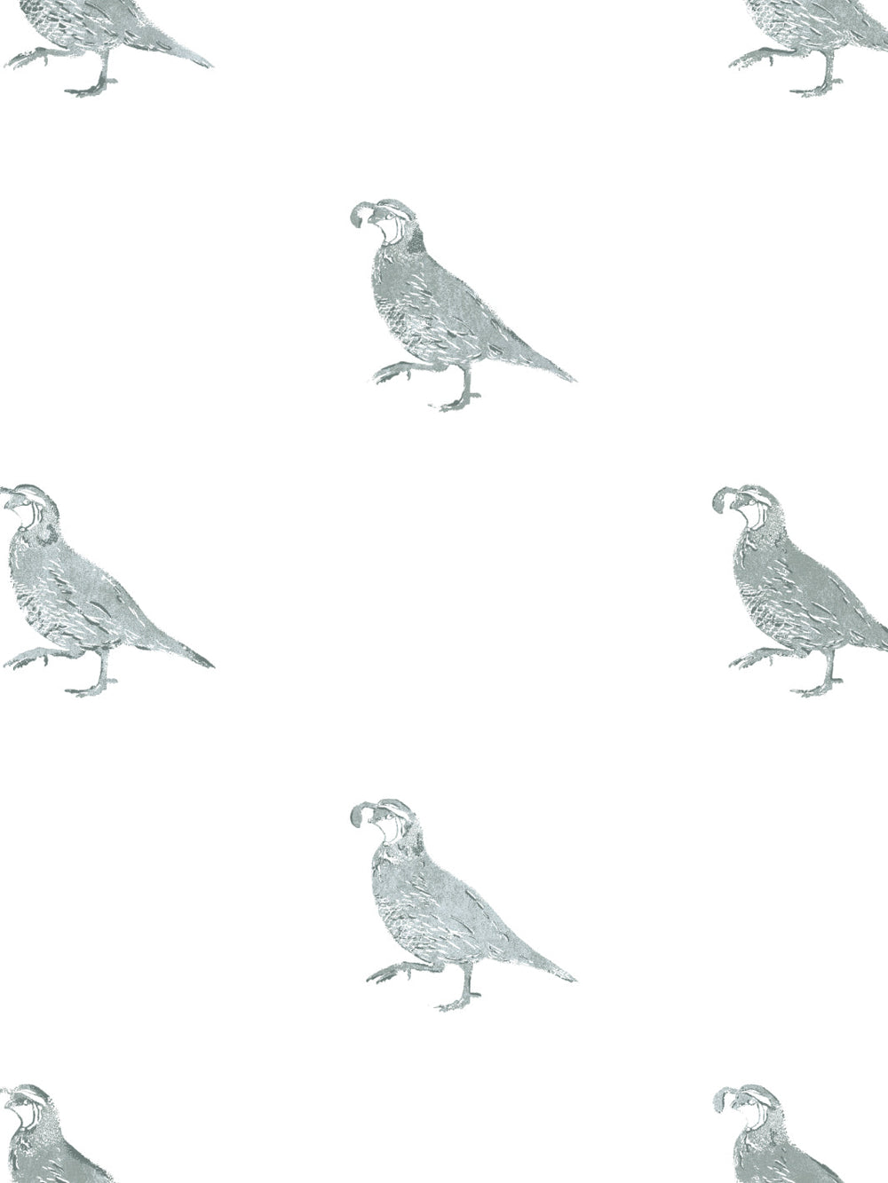 california-quail-wallpaper-by-nathan-turner-sage