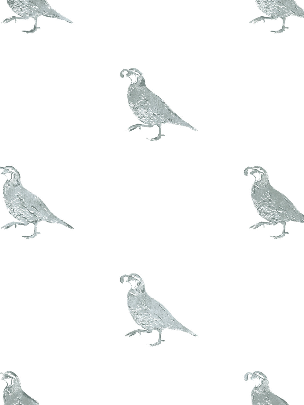 california-quail-wallpaper-by-nathan-turner-sage