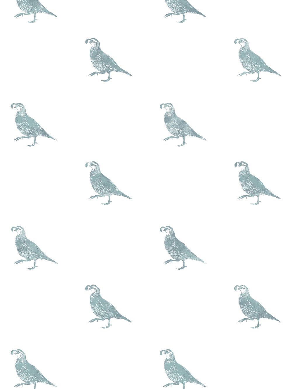 california-quail-wallpaper-by-nathan-turner-seafoam