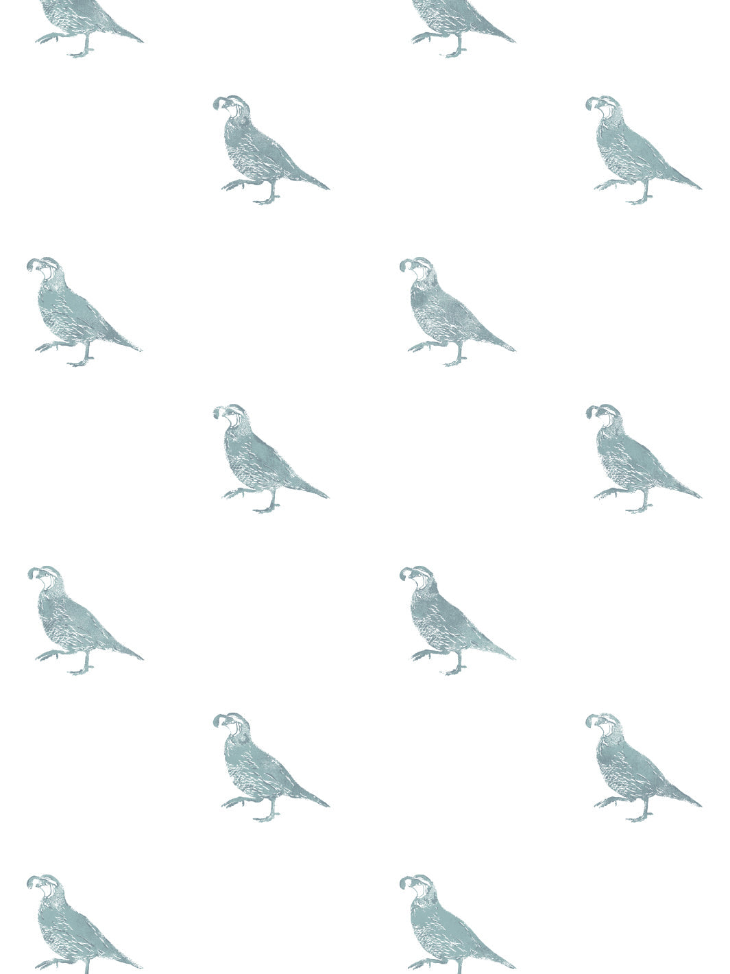 'California Quail' Wallpaper by Nathan Turner - Seafoam