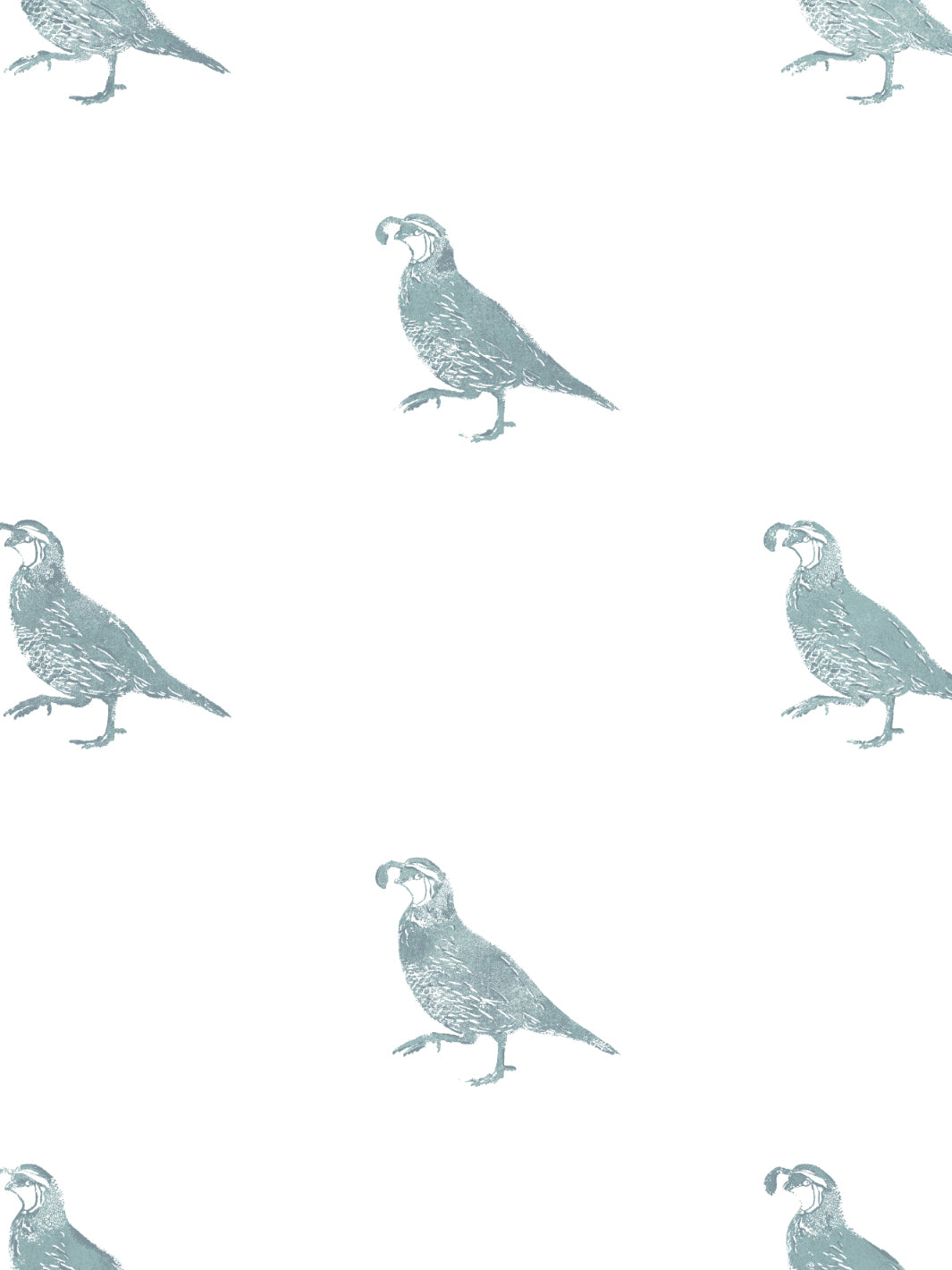 california-quail-wallpaper-by-nathan-turner-seafoam