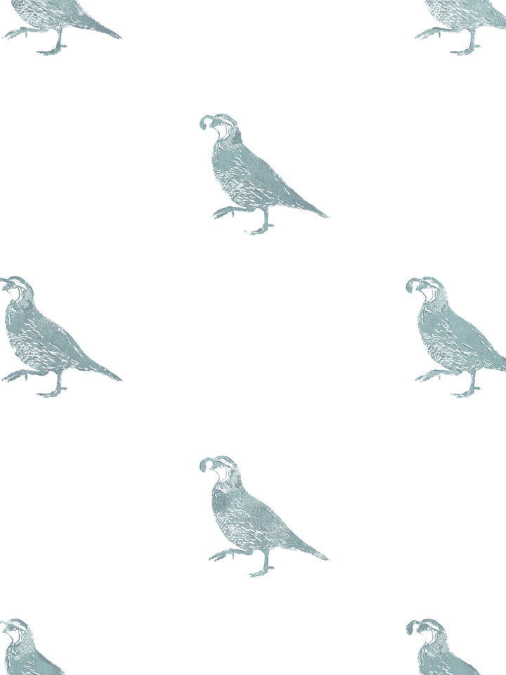 california-quail-wallpaper-by-nathan-turner-seafoam