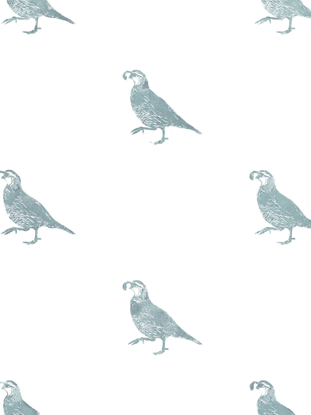 california-quail-wallpaper-by-nathan-turner-seafoam