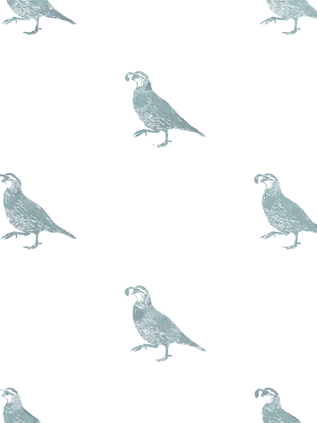 'California Quail' Wallpaper by Nathan Turner - Seafoam