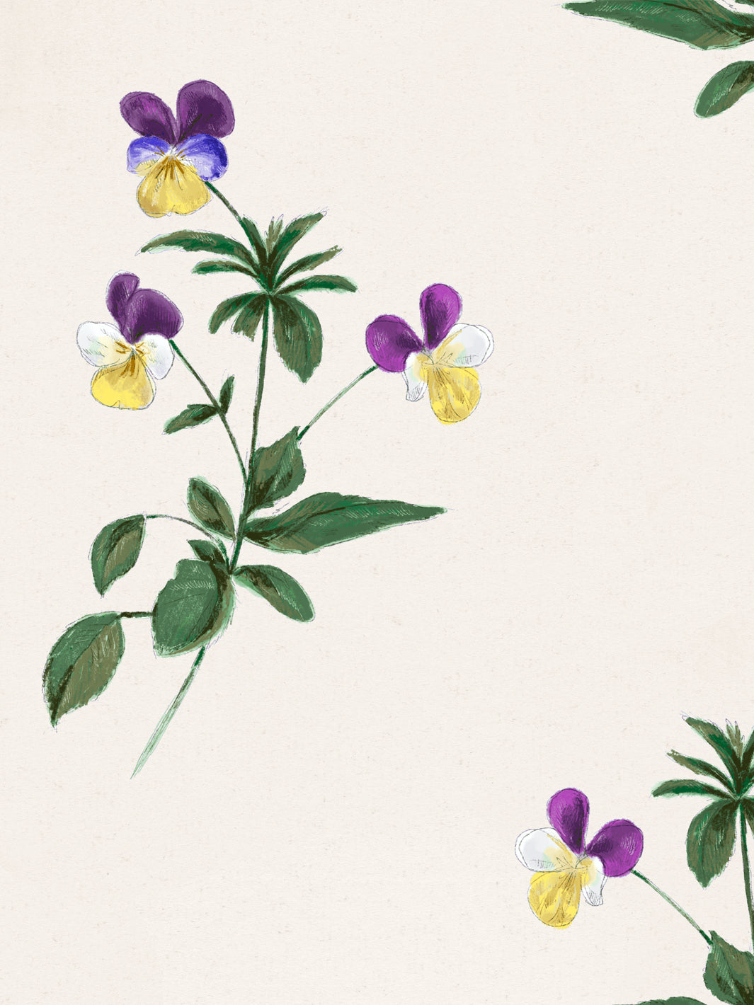 charlotta-wallpaper-by-sarah-jessica-parker-multi
