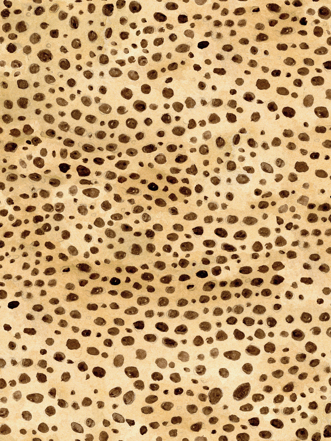 Cheetah print wallpaper with tan and dark brown spotted pattern