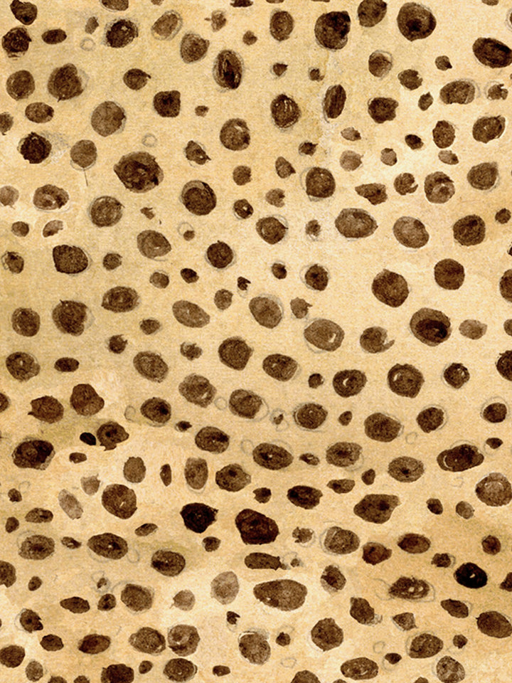 Close-up cheetah print wallpaper with tan background and dark brown spots