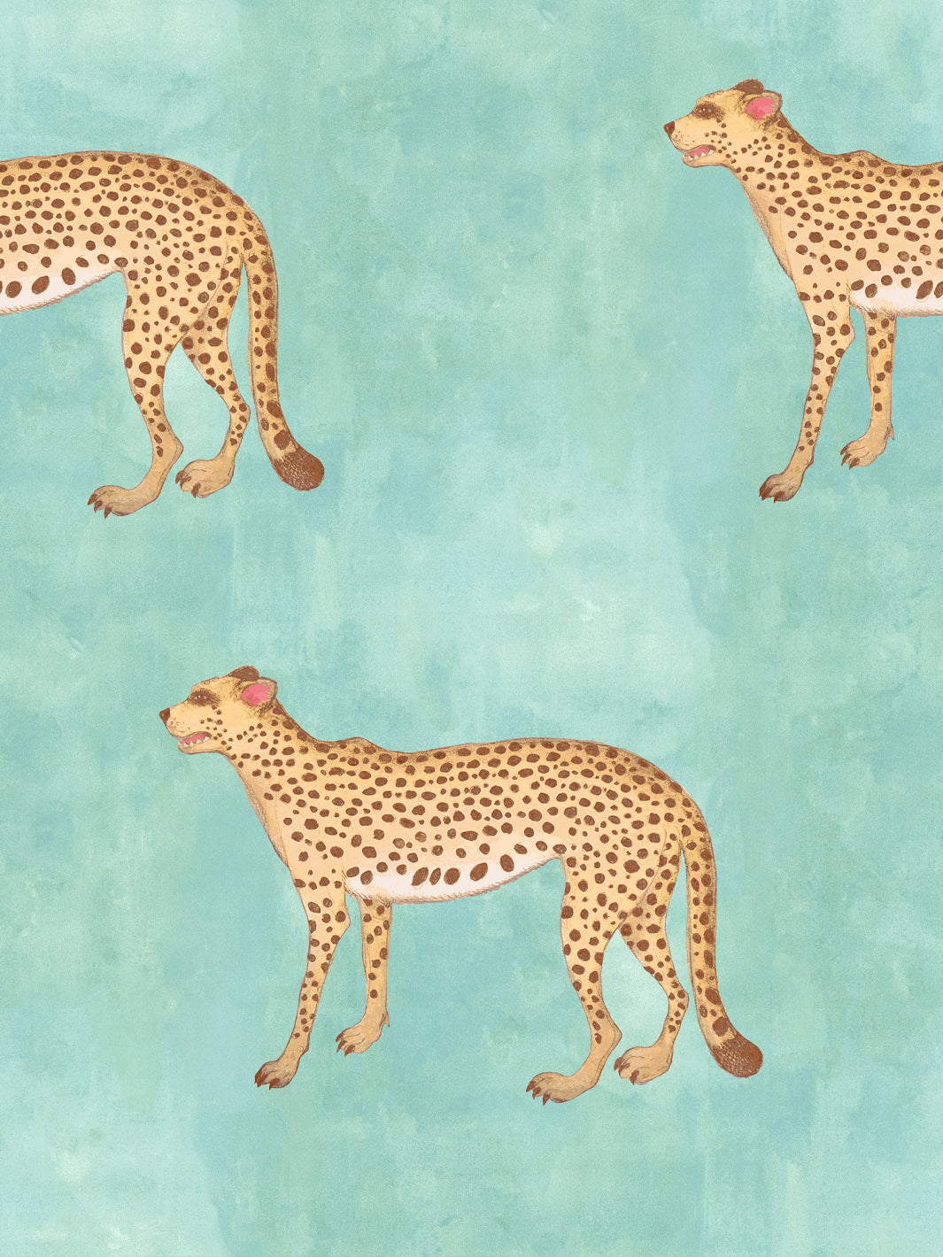 Cheetah print wallpaper with tan spots and peach faces on aqua blue ground