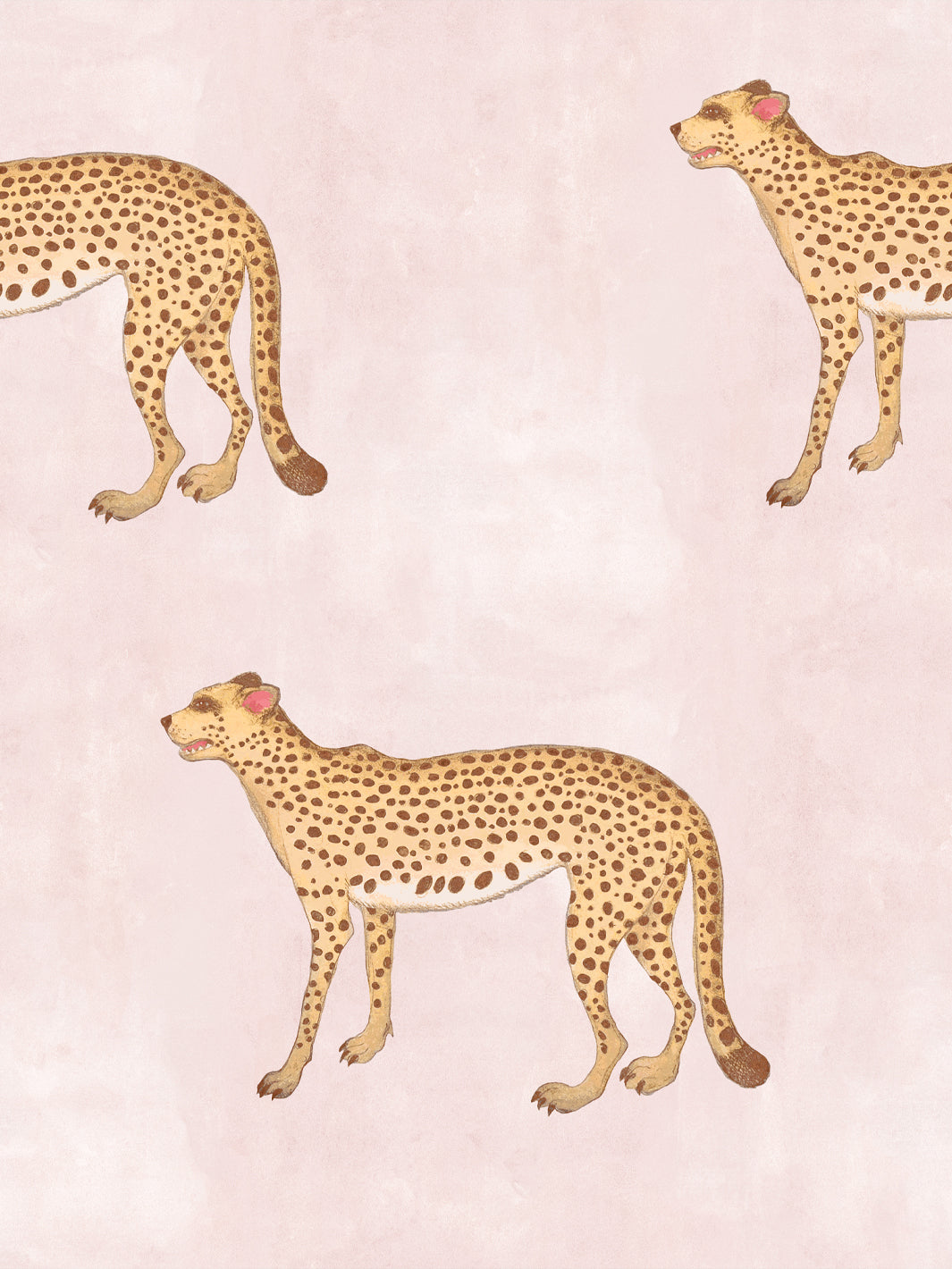 Blush wallpaper with scattered illustrated cheetahs in tan and brown spots